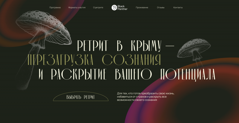 Кейс: сайт по мухоморным ретритам в Крыму, обеспечивший запись на 3 месяца вперед без вложений в рекламу