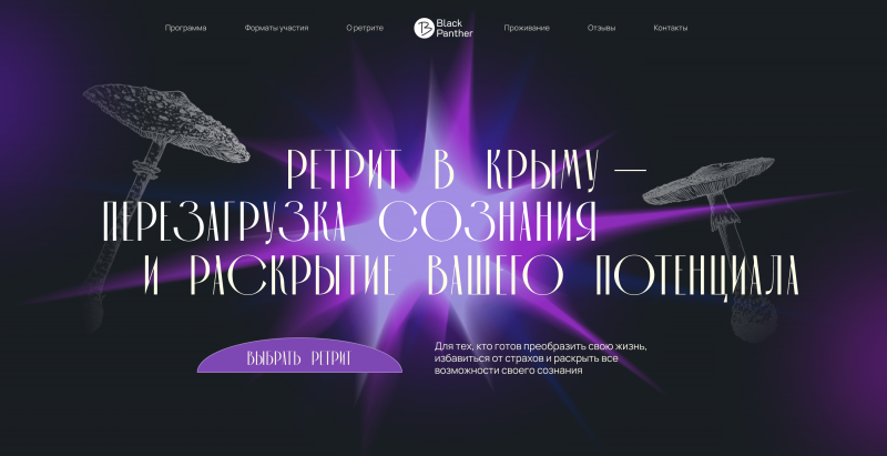 Кейс: сайт по мухоморным ретритам в Крыму, обеспечивший запись на 3 месяца вперед без вложений в рекламу