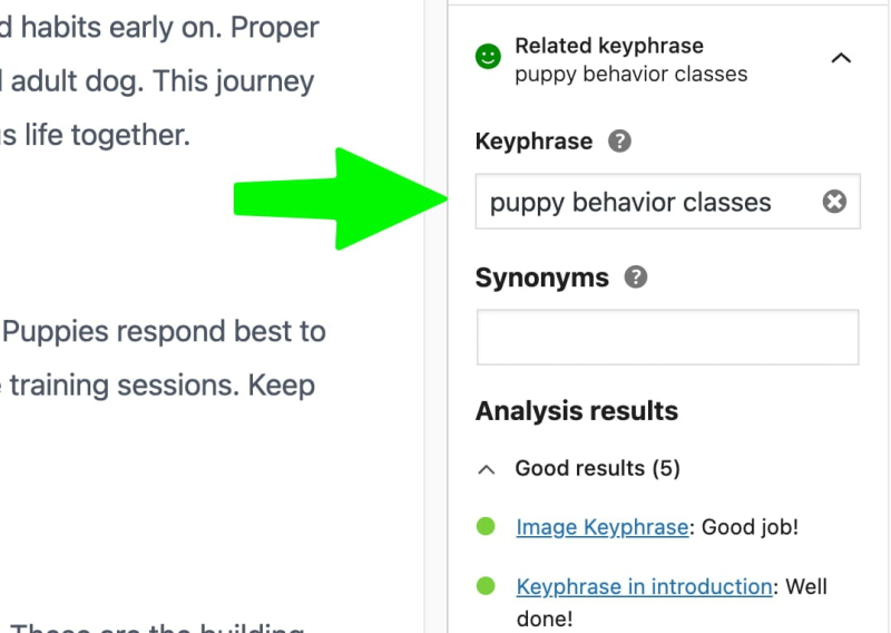 Why you should use synonyms and related keywords